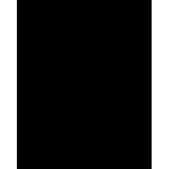 Folia 614/50 90 - Schwarz - Einfarbig - A4 (210 x 297 mm) - 300 g/m² - 50 Blatt - Deutschland