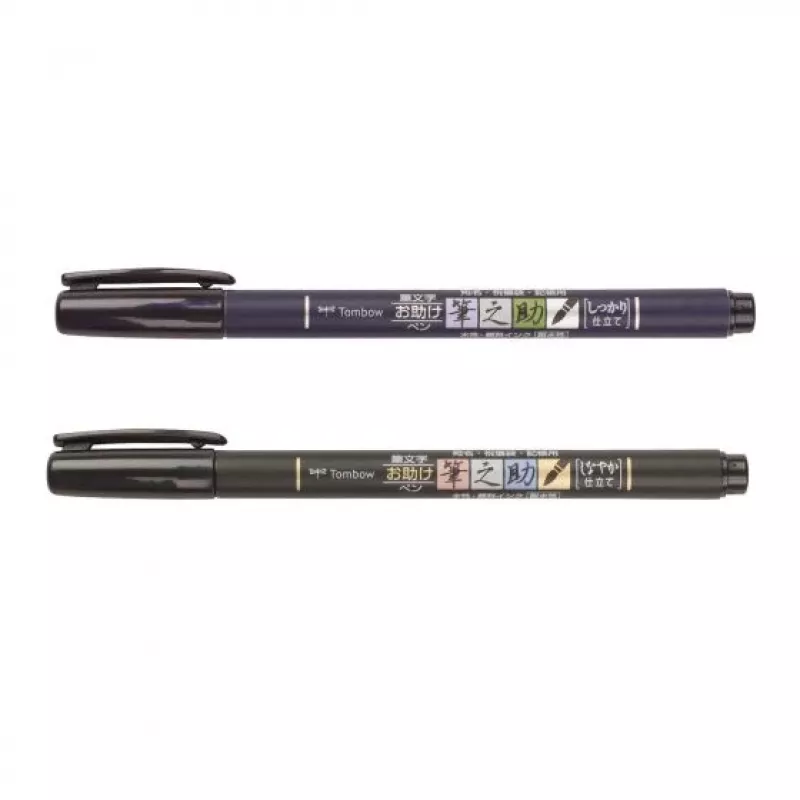Tombow WS-BHS-2P Dual Brush Pen Set - Schwarz - 2 Stück - Blisterverpackung