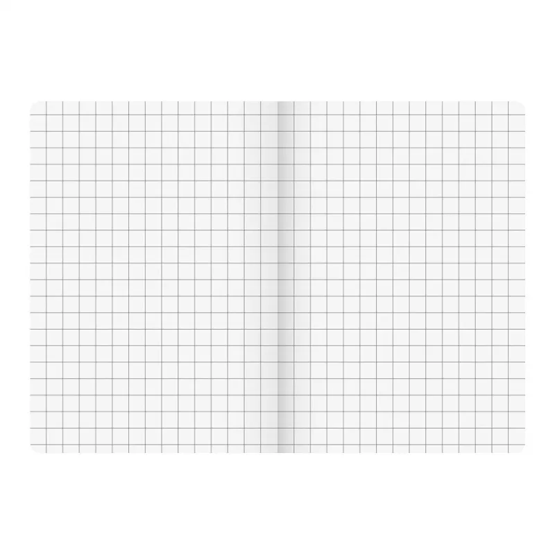 BRUNNEN Vivendi Schulheft Lineatur 7, kariert ohne Rand, A5, 16 Blatt