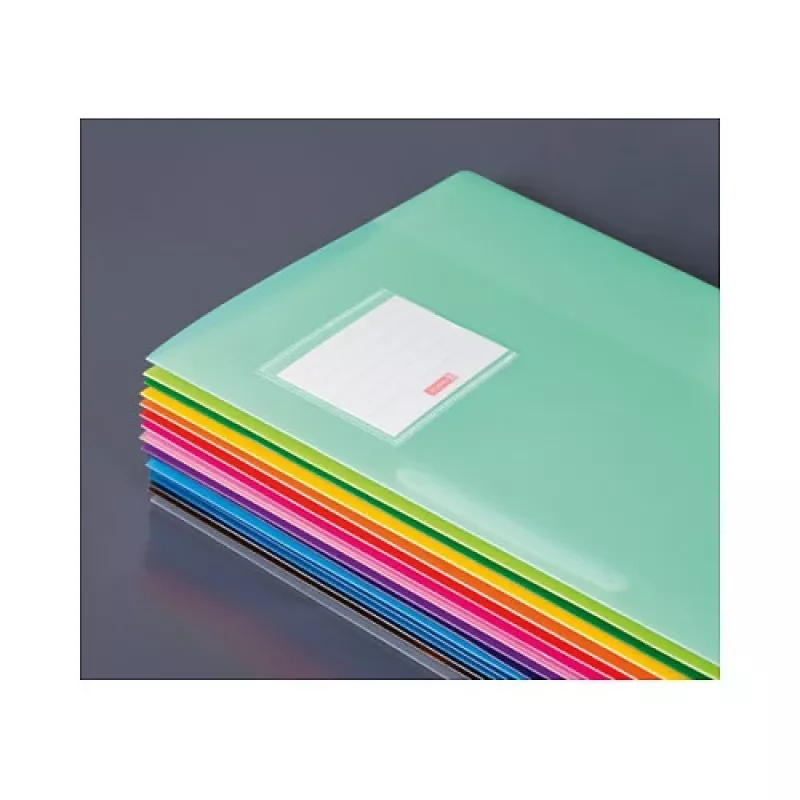 BRUNNEN FACT! Fastener Folder DIN A4 Translucent Pink Polypropylene