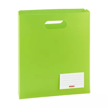 BRUNNEN FACT!pp Dokumentenbox A4 5 cm Grün