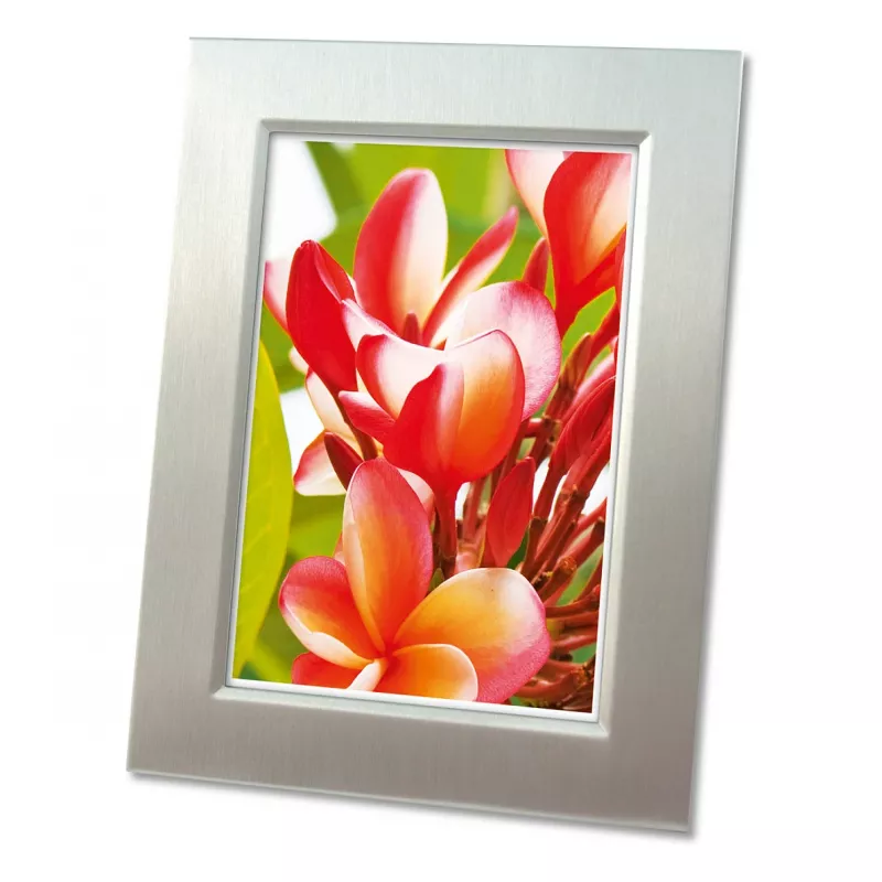 Avery Zweckform 2556-20 Premium Glossy Fotopapier, glänzend, A4, 250 g/m², 20 Blatt