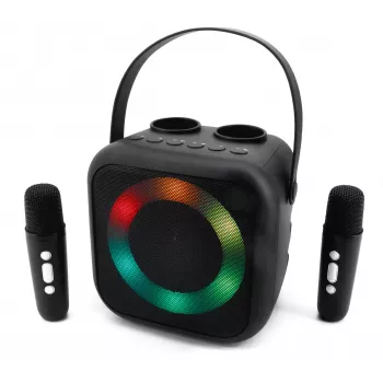 Soundmaster BT2024SW Bluetooth-Lautsprecher, Disco-Licht, 2 Mikrofone, schwarz