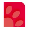Oxford 100050402 Notizbuch A4 90 g/m2 Rot