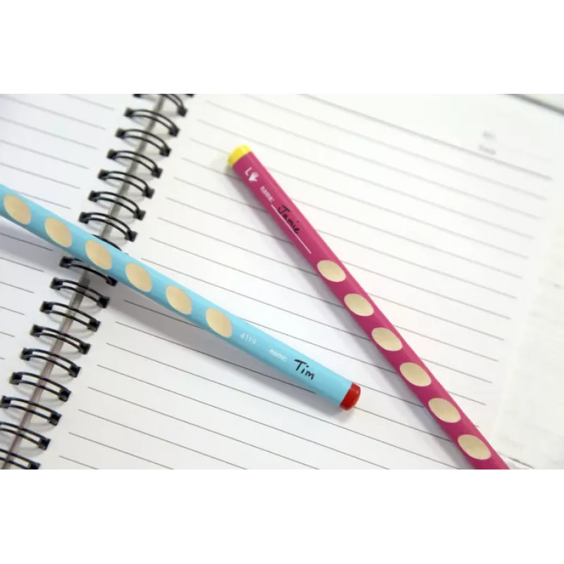 STABILO EASYgraph Graphitstift HB Blau Dreikant 3,15 mm 1 Stück