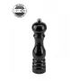 Peugeot Paris Salzmühle 22 cm u'Select Schwarz lackiert (237370SZ)