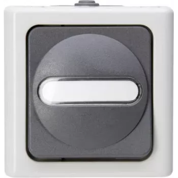 Heinrich Kopp Kreuzschalter AP-Feuchtraum BLUE ELECTRIC Grau 10A 250V IP44 Aufputz-Wechselschalter