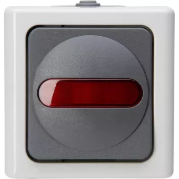 Heinrich Kopp 561656007 Tastschalter, Grau/Weiß, Thermoplast, IP44, 10A, 250V