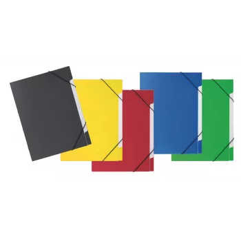 PAGNA 5-Fächer Organizer-Mappe Basic 5 Fächer Farben sortiert