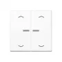 JUNG Home Taster 2-fach Bluetooth AS 17102 P WW
