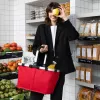 Reisenthel Carrybag Rot - 22L Einkaufs- und Freizeittasche