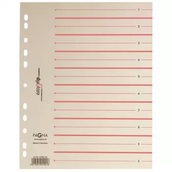 PAGNA 100 Trennblätter Easy Rip A4 Beige