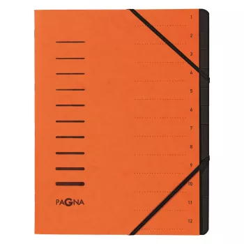 PAGNA 40059-12 A4 Orange Elastic Band Document Folder 320x245x5 mm