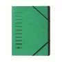 Pagna 40058-03 Organisator Mappe A4, 7 Fächer, Grün
