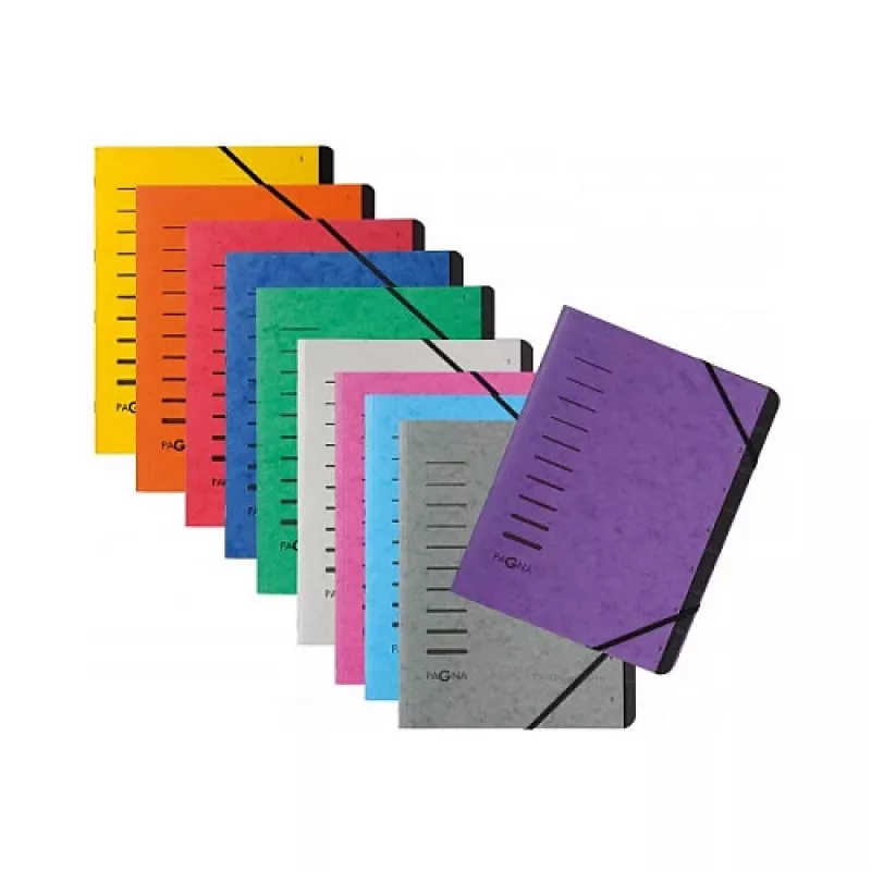 Pagna 40058-03 Organisator Mappe A4, 7 Fächer, Grün