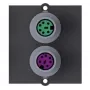 Bachmann Modular Faceplate Snap-In - PS/2 x 2