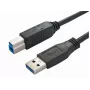 Bachmann 917.1203 USB 3.2 Gen 1 Kabel - USB A auf USB B - 3 m - Schwarz