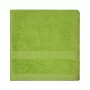 Dyckhoff Badetuch Solid Grün 70 x 140 cm