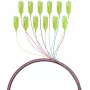 EFB Elektronik Fibre Pigtail SC 50/125 OM5, 12-Colour Set, 2m