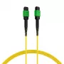 EFB Elektronik MTPF12MTPFOS2-7.5-A Fiber Optic Patch Cable 7,5 m OS2 MTP Female to MTP Female