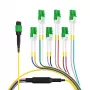 EFB Elektronik MTPF12LCAPC-1 - 1 m - OS2 - MTP - 12x LC Fiber Optic Breakout Cable