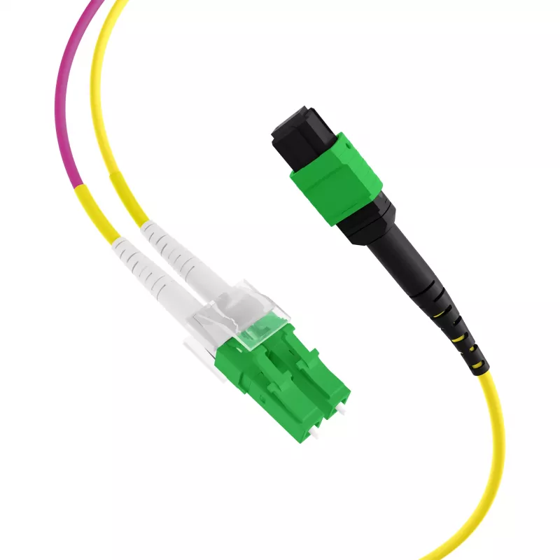 EFB Elektronik MTPF12LCAPC-2 - 2 m - OS2 - MTP - 12x LC Fiber Optic Breakout Cable
