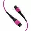 EFB ELEKTRONIK MPO-PLUS(F)-MPO-PLUS(F) Patchkabel OM4 12 Fasern Typ B LSZH Heather Violet 1m