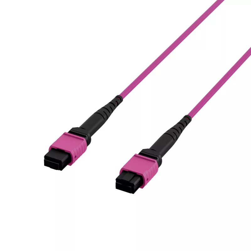 EFB ELEKTRONIK MPO-PLUS(F)-MPO-PLUS(F) Patchkabel OM4 12 Fasern Typ B LSZH Heather Violet 1m