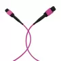 EFB ELEKTRONIK MPO-PLUS(F)-MPO-PLUS(F) Patchkabel OM4 12 Fasern Typ B LSZH Heather Violet 15m