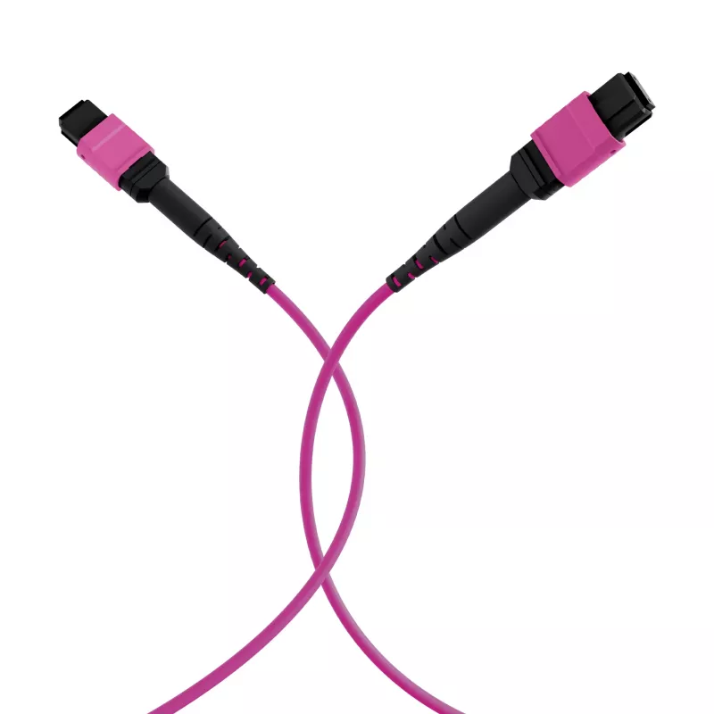 EFB ELEKTRONIK MPO-PLUS(F)-MPO-PLUS(F) Patchkabel OM4 12 Fasern Typ B LSZH Heather Violet 15m
