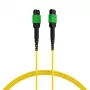 EFB ELEKTRONIK MPO-PLUS/APC(F)-MPO-PLUS/APC(F) Patchkabel OS2 12 Fasern Typ B LSZH Gelb 10m