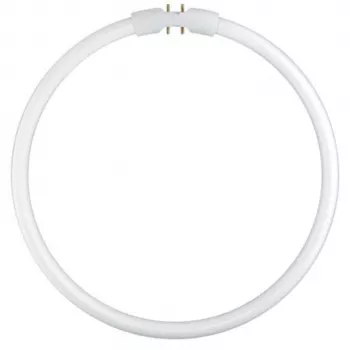 Osram Ringförmige Leuchtstofflampe T5 FC22W 840 2GX13