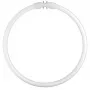 Osram Ringförmige Leuchtstofflampe T5 FC22W 840 2GX13