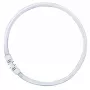 OSRAM LUMILUX T5 FC Ringförmige Leuchtstofflampe 55W 865 Tageslicht 2GX13
