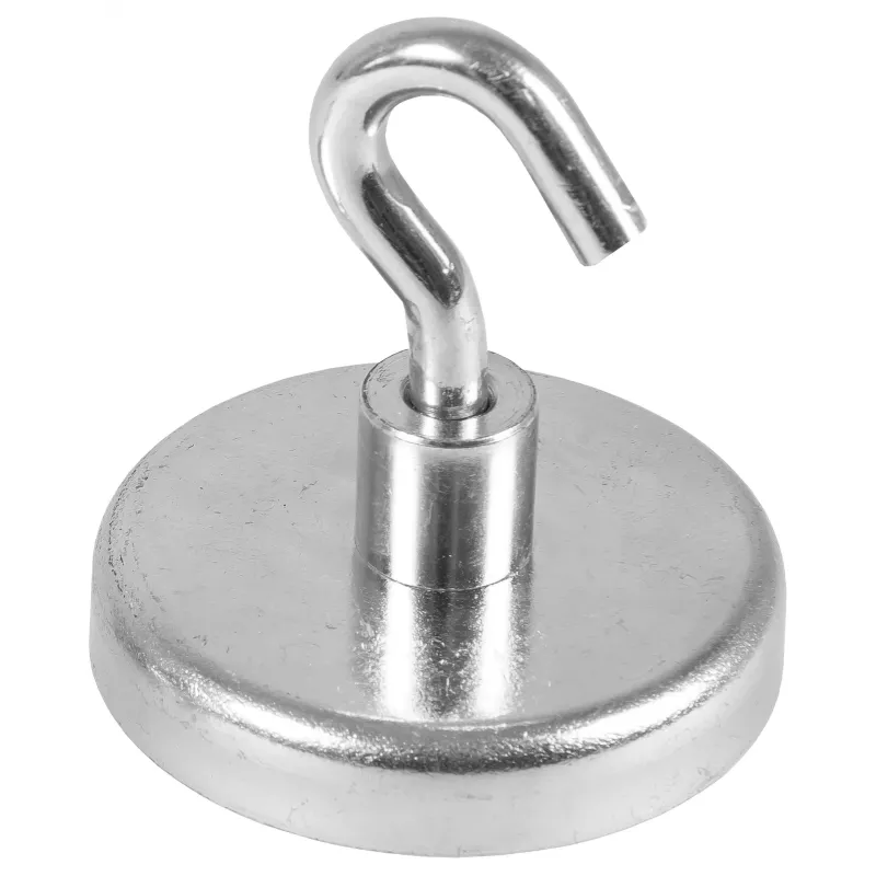Eichner Magnet-Haken Silber, Metall Ø 3,6 x 1,7 cm, 5 Stück
