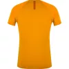 SALEWA Wild Country Session 2 T-Shirt - Nectar - Größe L