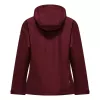 Salewa Puez Aqua 4 PTX 2.5L Jacket Women's - Syrah, XS