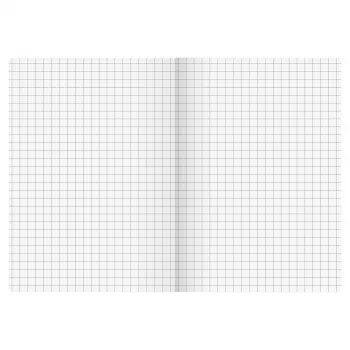 BRUNNEN FACT!plus Notizbuch A6 kariert 96 Blatt Braun