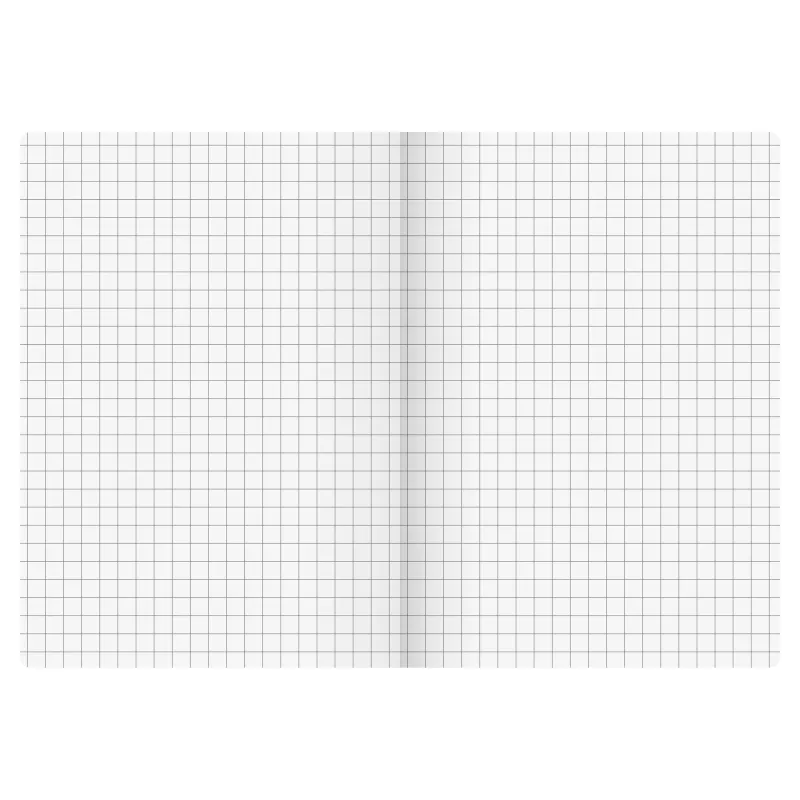 BRUNNEN FACT!plus Notizbuch A6 kariert 96 Blatt Schwarz 104367290