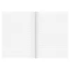 Brunnen FACT!plus Notizbuch A4 liniert 96 Blatt Schwarz
