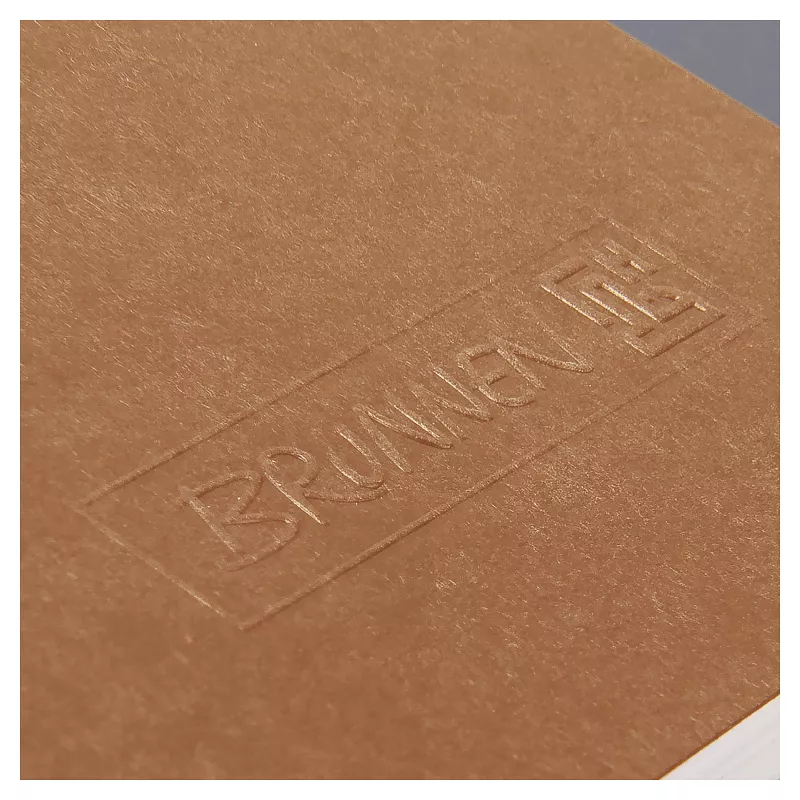 BRUNNEN FACT!plus Notizbuch A4 kariert 96 Blatt Braun 104347270