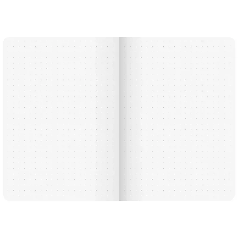 BRUNNEN FACT!plus Notizbuch DIN A6 Punktraster