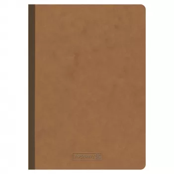 BRUNNEN FACT!plus Notizbuch A5 gepunktet 96 Blatt Braun