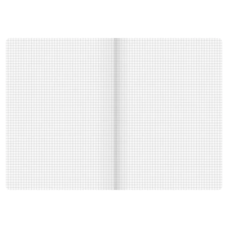 BRUNNEN FACT!plus Notizbuch A4 kariert 96 Blatt Schwarz