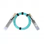 BlueOptics Synology QSFP-100G-AOC-30M Kompatibles AOC QSFP28 Active Optical Cable 30m