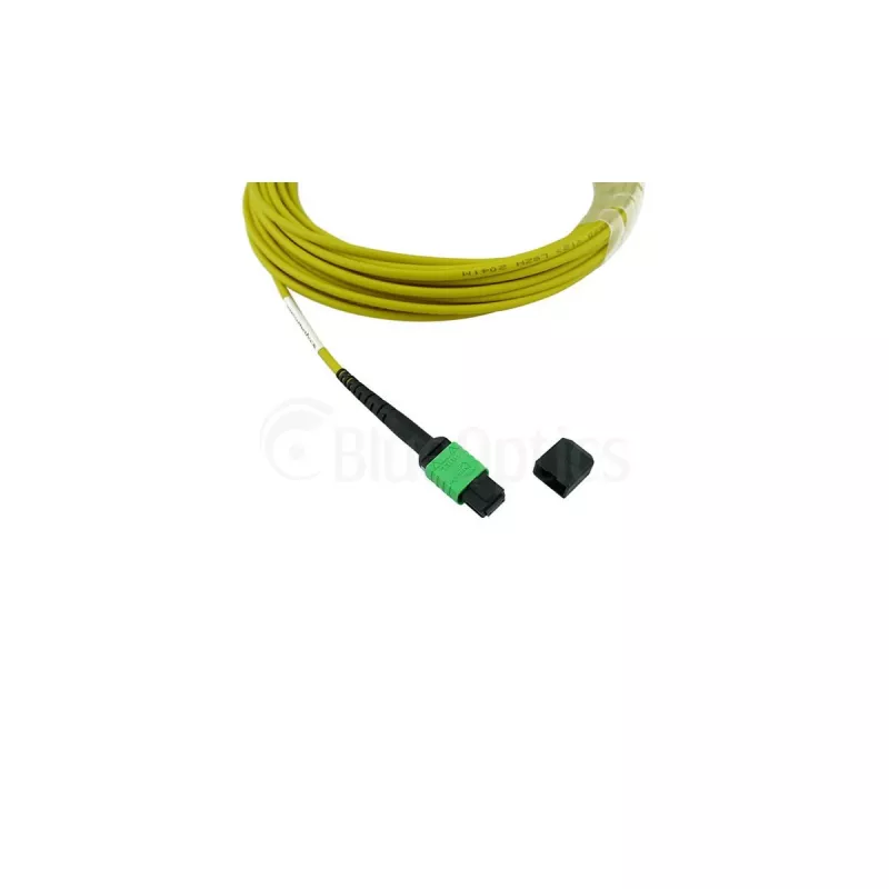 BlueOptics Cisco CB-M12-M12-SMF30M MPO auf MPO Singlemode-Glasfaser-Patchkabel 30m
