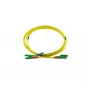 BlueOptics Duplex Glasfaser-Patchkabel, E2000-APC/E2000-APC, Singlemode OS2, 10 m, grüne Stecker