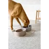 PALOPA Porcelain Dog Bowl Cali Taupe
