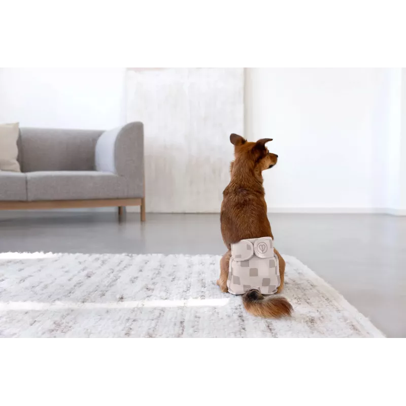 PALOPA wiederverwendbare Hundewindelhose für Hitze und Inkontinenz, Taupe, Größe M