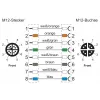 METZ CONNECT 142M2X12020 - 2 m - Cat6a - M12 - M12 - Grün